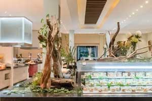 Cozumel buffet